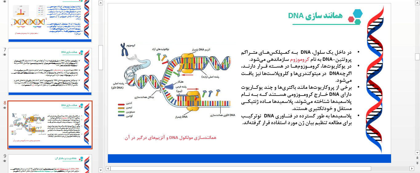 پاورپوینت تفاوت DNA و RNA