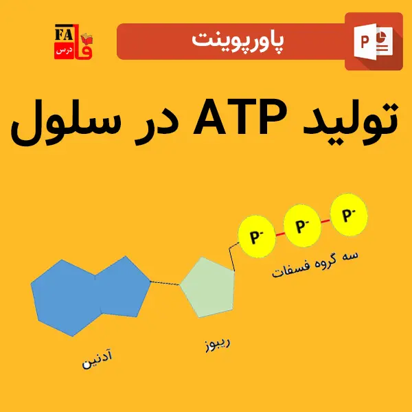 پاورپوینت تولید ATP در سلول