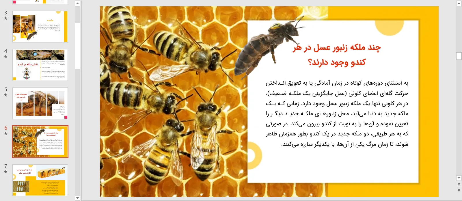 پاورپوینت ملکه زنبور عسل