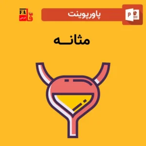 پاورپوینت مثانه