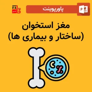 پاورپوینت مغز استخوان (ساختار و بیماری ها)