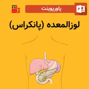 پاورپوینت لوزالمعده (پانکراس)