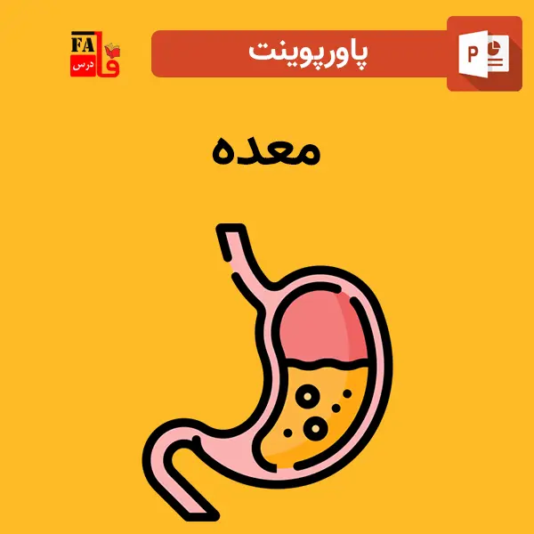 پاورپوینت معده