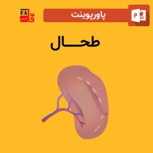 پاورپوینت طحال