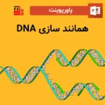 پاورپوینت همانند سازی DNA