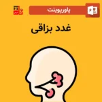 پاورپوینت غدد بزاقی
