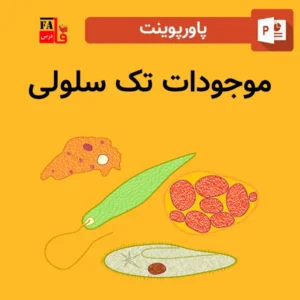 پاورپوینت موجودات تک سلولی