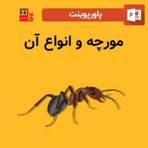 مورچه و انواع آن