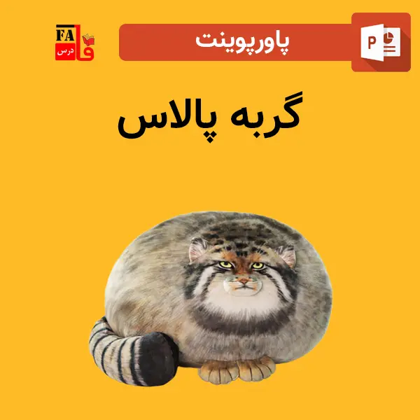 پاورپوینت گربه پالاس