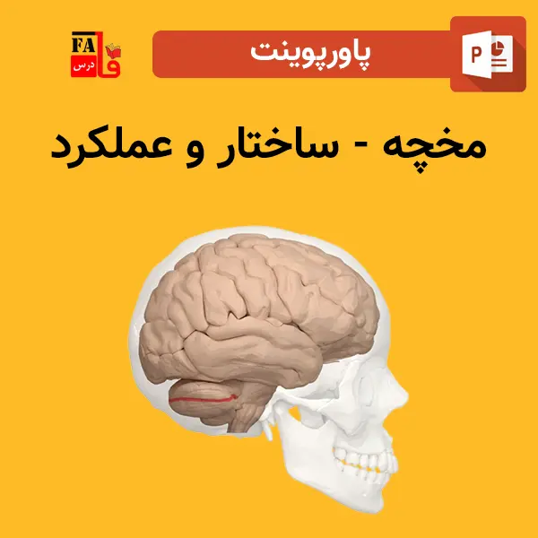 پاورپوینت مخچه - ساختار و عملکرد