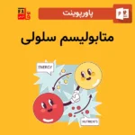 پاورپوینت متابولیسم سلولی