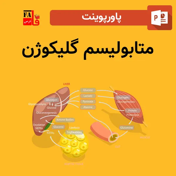 پاورپوینت متابولیسم گلیکوژن