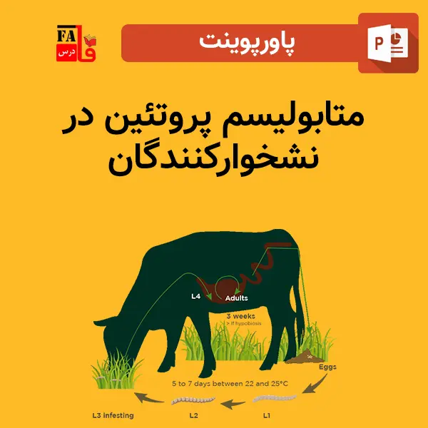 پاورپوینت متابولیسم پروتئین در نشخوارکنندگان