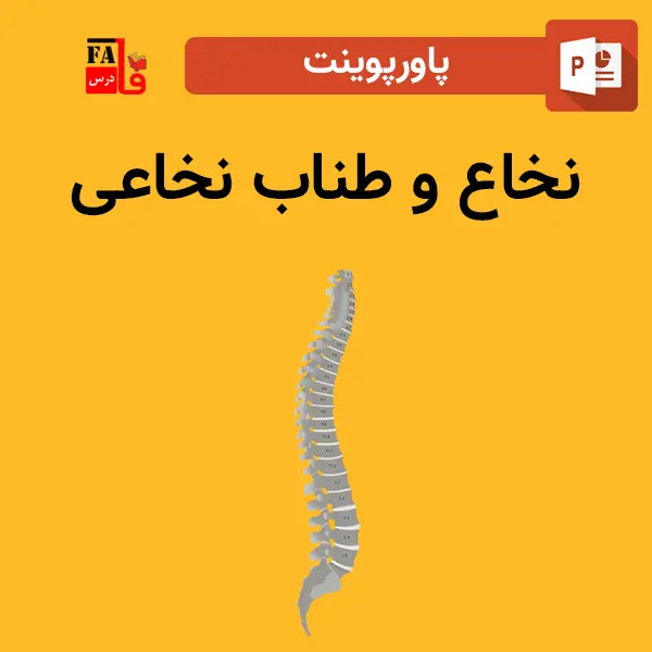 پاورپوینت نخاع و طناب نخاعی