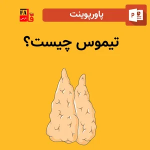 پاورپوینت تیموس چیست؟