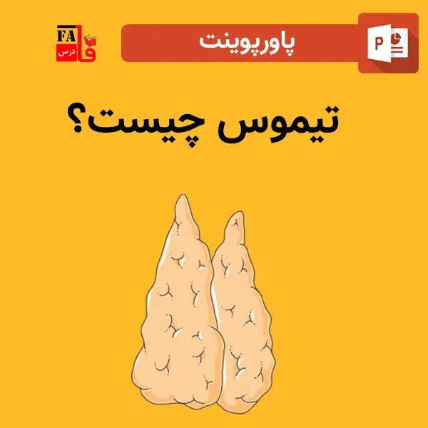 پاورپوینت تیموس چیست؟