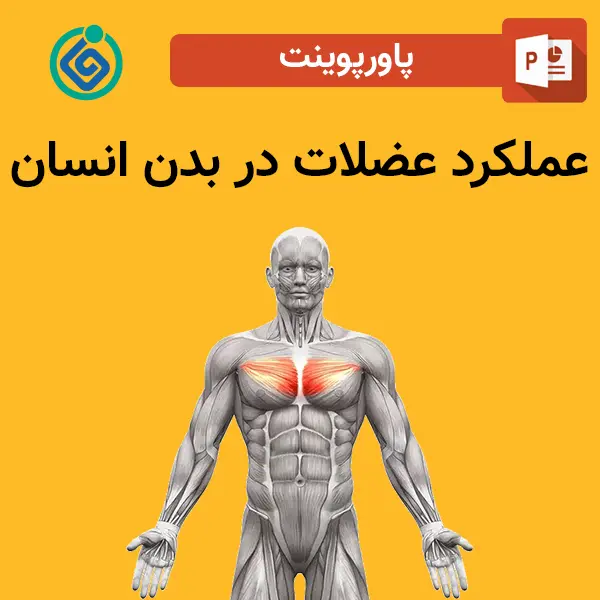 پاورپوینت عملکرد عضلات در بدن انسان
