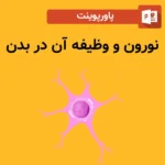 پاورپوینت نورون و وظیفه آن در بدن
