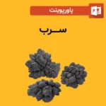 پاورپوینت سرب