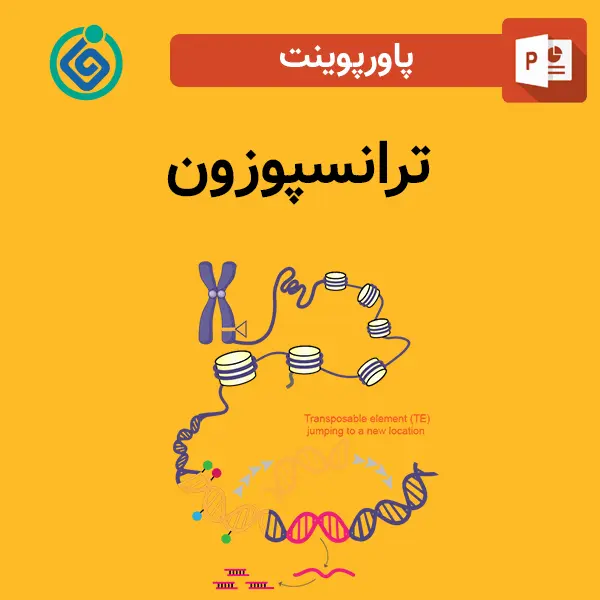 پاورپوینت ترانسپوزون