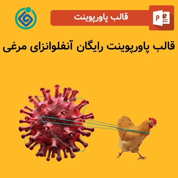 قالب پاورپوینت رایگان آنفلوانزای مرغی