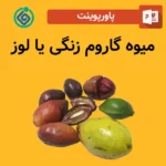پاورپوینت میوه گاروم زنگی یا لوز