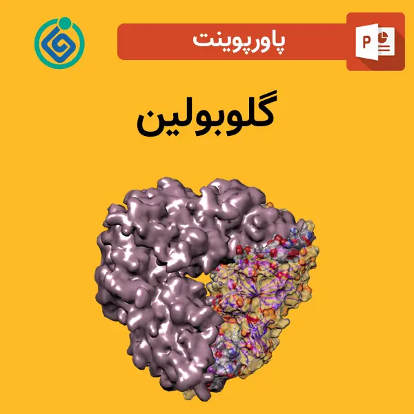 پاورپوینت گلوبولین