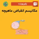پاورپوینت مکانیسم انقباض ماهیچه